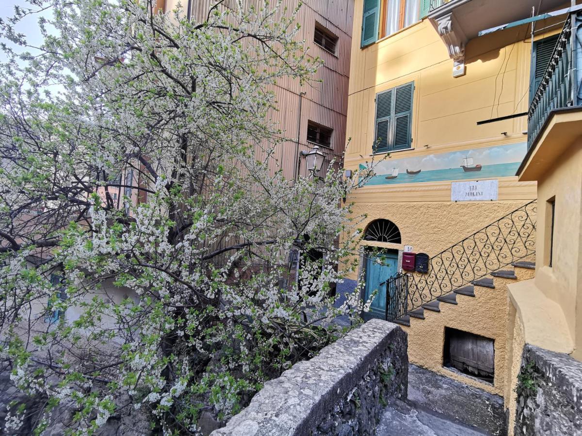 Hotel Sentieri Sul Mare à Manarola Extérieur photo